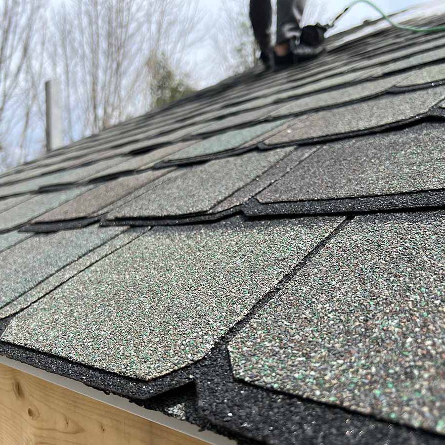 GoldenGroup_CentainTeed vs TAMKO roof shingles - February 2023