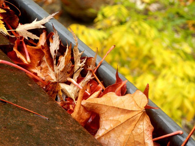 Roof Ready For Fall: A Seasonal Rooferendum